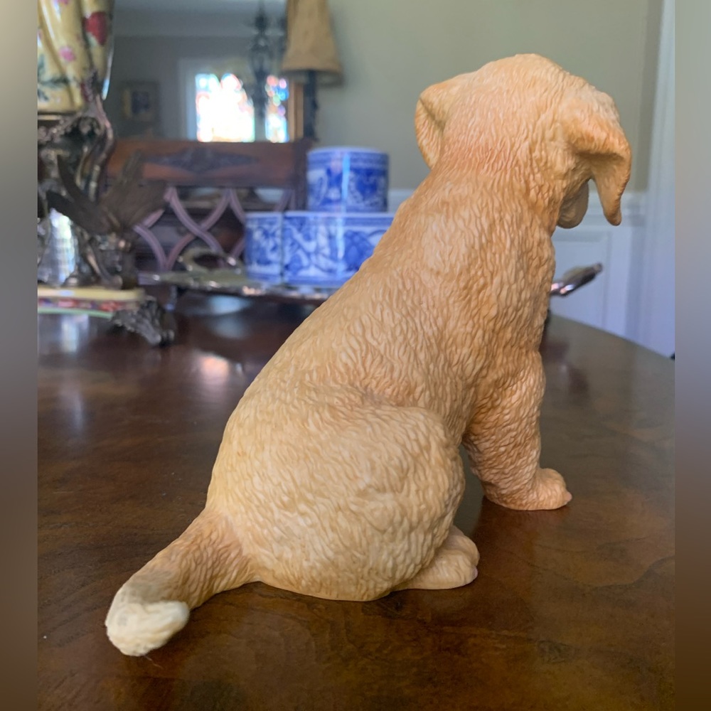 Lenox Yellow Labrador Retriever - Picture 11 of 14